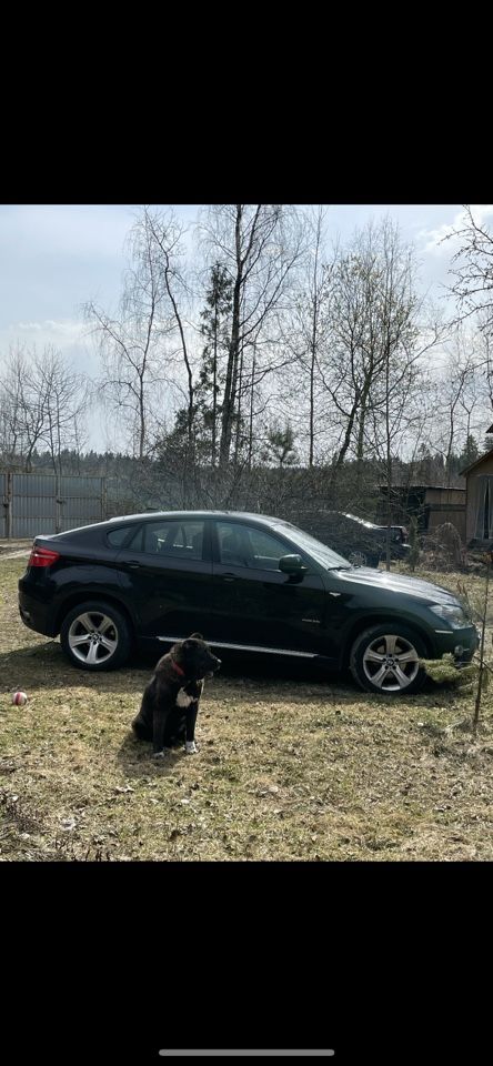 BMW X6: фото владельца
