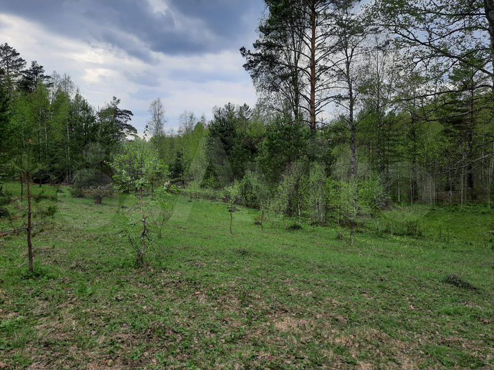 Участок 2,5 га (СНТ, ДНП)