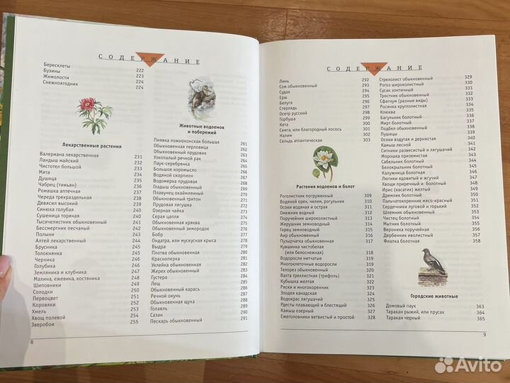 Большой атлас природы России