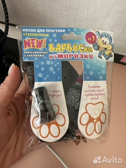 Носки для прогулки собаки