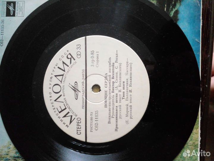 Виниловые пластинки