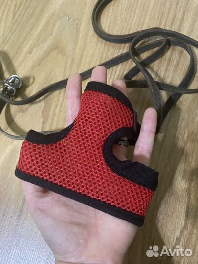 Шлейка для собак