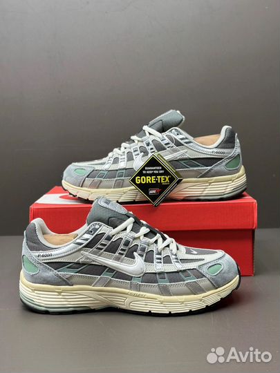 Кроссовки мужские демисезонные Nike p-6000