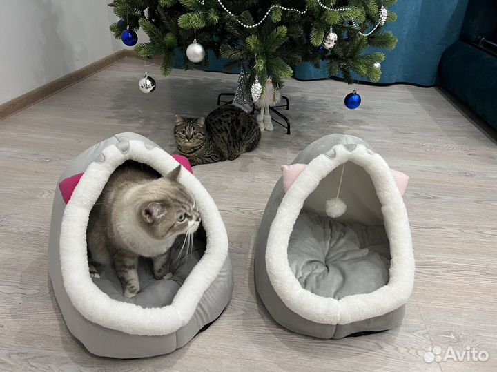 Домик для кошки новый