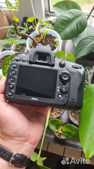 Nikon D610 body