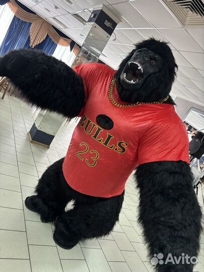 Поздравления Кинг-Конга