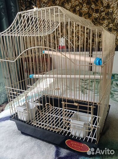 Клетка для попугая