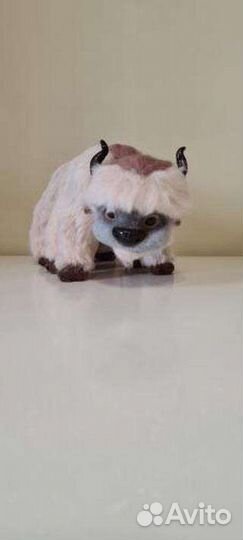 Аппа из Аватар