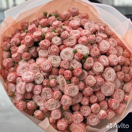 Кустовая пион роза