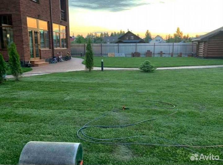 Рулонный газон