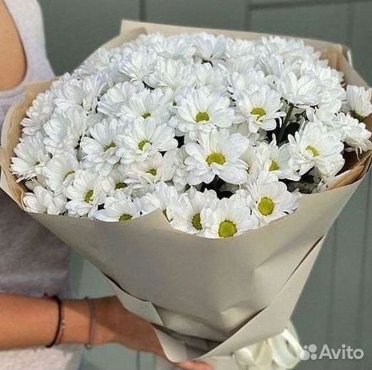 Хризантема. Букеты Цветы доставка