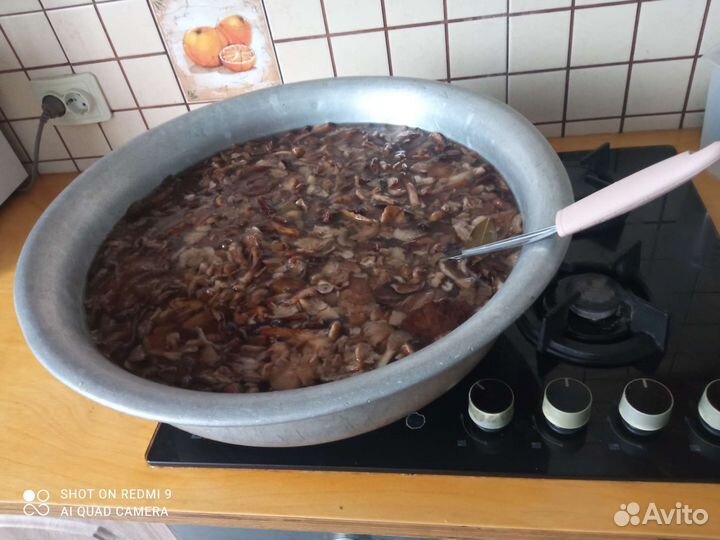 Грибы опята маринованные