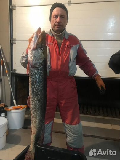 Рыбалка / Егерь по рыбалке