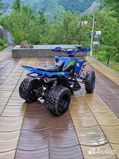 Yacota Typhoon 250