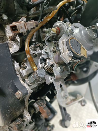 Тнвд, Peugeot 406 1999