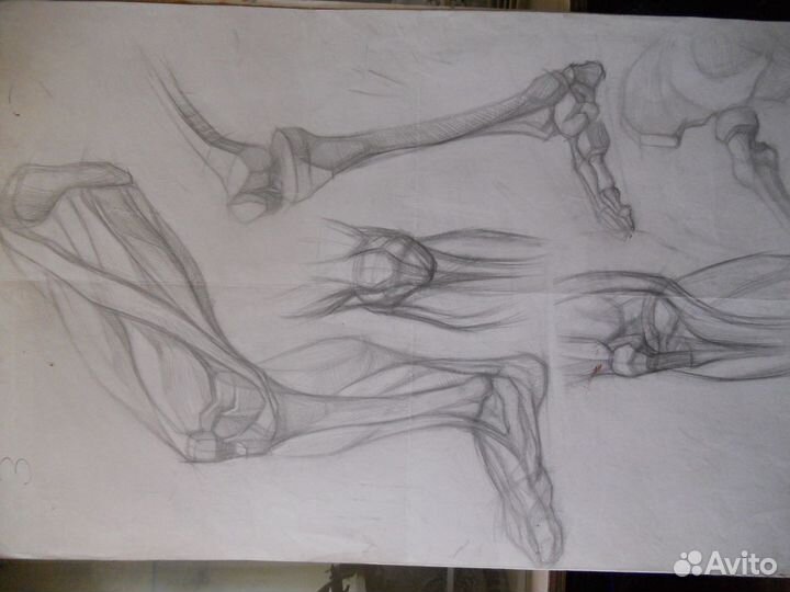 Репетитор по живописи рисунку