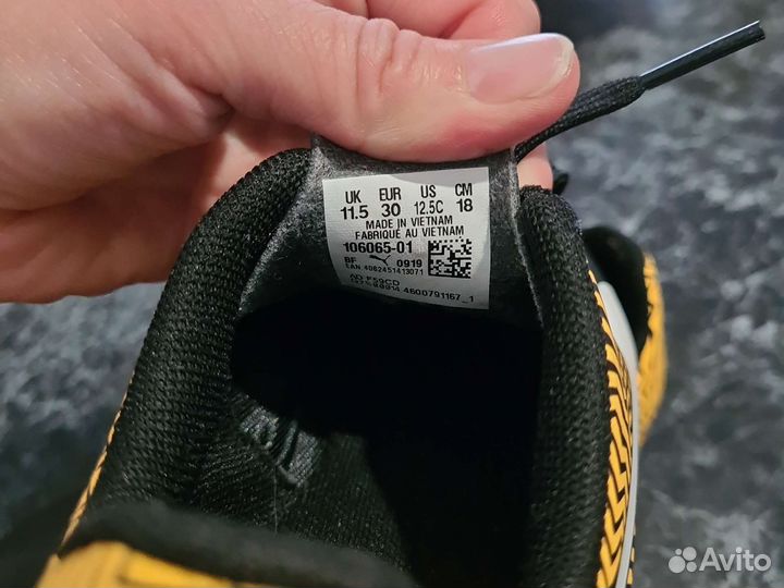 Puma