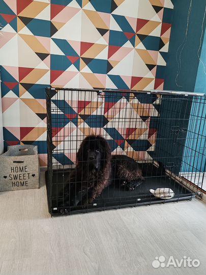 Клетка для большой собаки бу