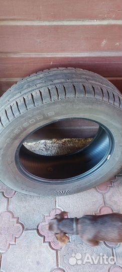 Nokian Tyres Hakka Blue 2 265/60 R18 110V