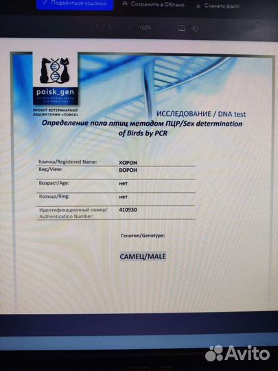 Чёрный ворон