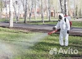 Дезинфекция дезинсекция уничтожение насекомых