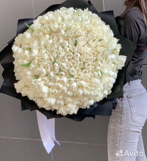 Тюльпаны букет тюльпанов 151