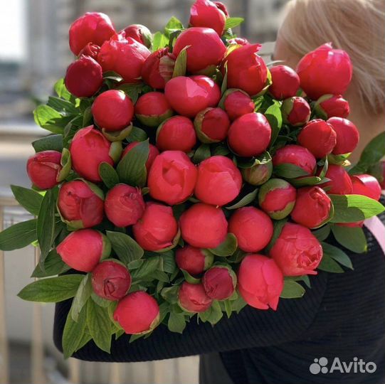 Пионы Живые Цветы Букеты Корзины Доставка