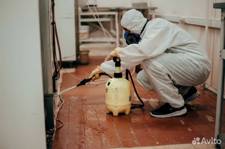 Средство для Уничтожения клопов травли тараканов, блох