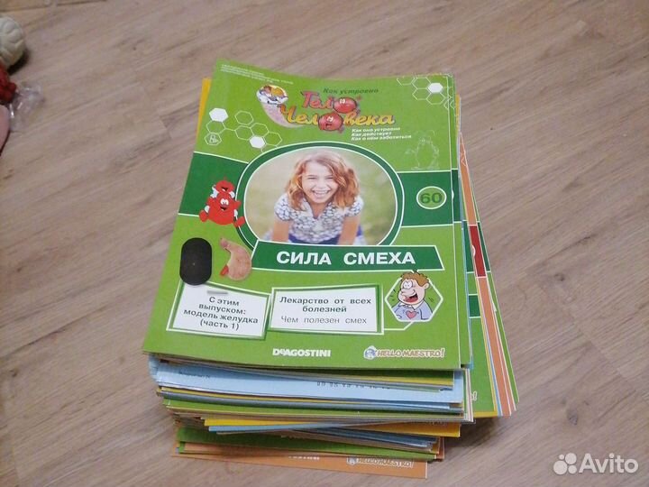 Тело человека