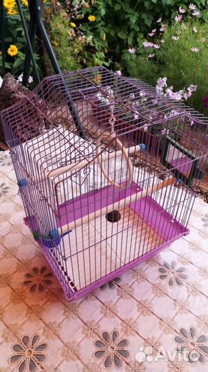 Клетка для попугаев