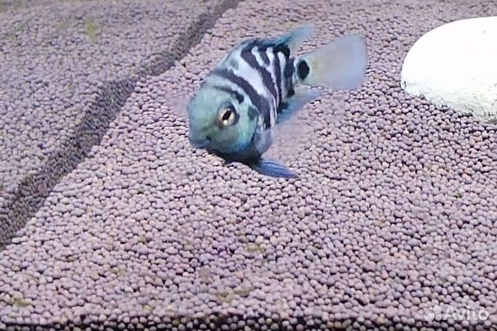 Аквариумный грунт Пропант, 20 кг. (10-11 лит.)