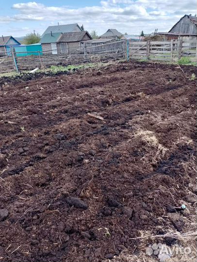 Культиватор Грязинский культиваторный завод КПЭ-3,8Г, 1999