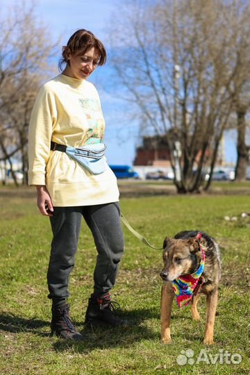 Старая собака Серхио в добрые руки