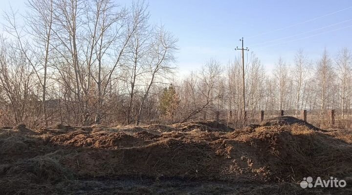 Конский навоз прошлогодний бесплатно