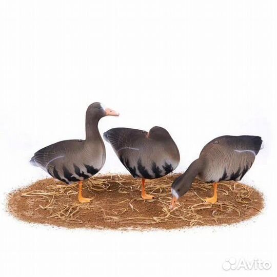 Чучела гусей North Way и Oscar Decoys