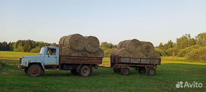 Сено в рулонах