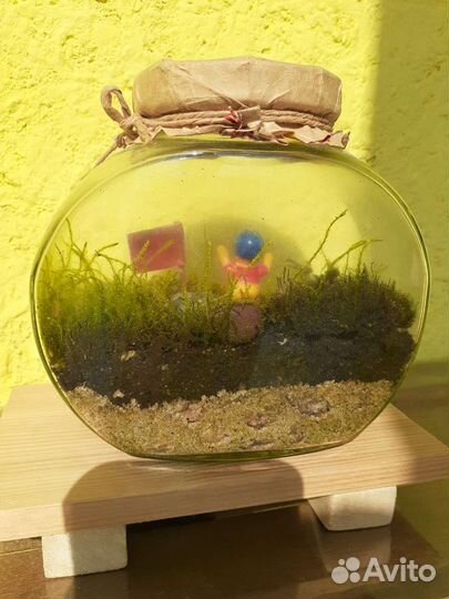 Флорариум. Замкнутая экосистема. Подарок