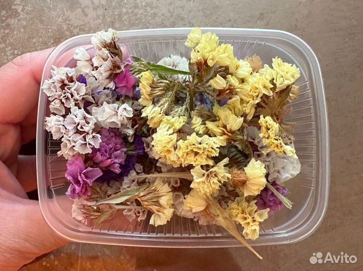 Сухоцвет статица (микс цветов)