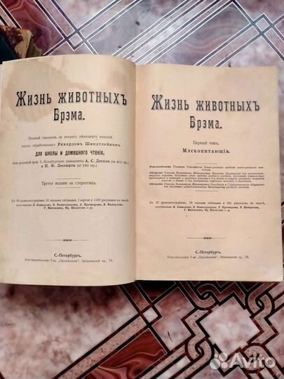 Брэм жизнь животных