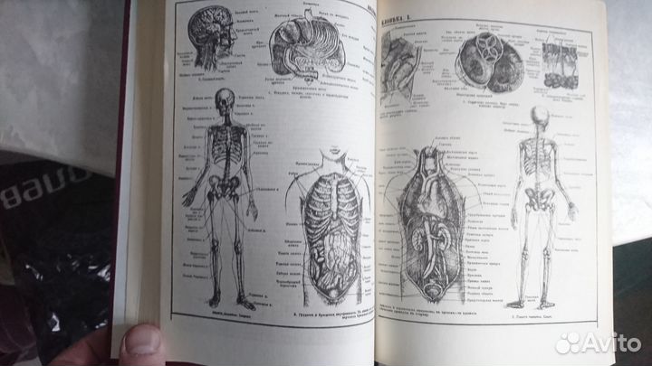 Малый энц. сл. Ф. А. Брокгауз - И. А. Ефрон
