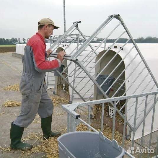 Домики для телят