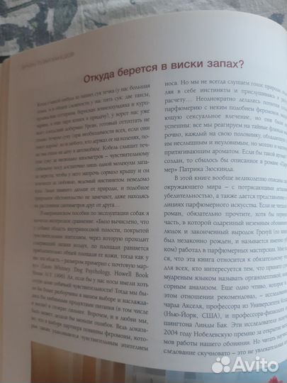 Виски путеводитель Эркин Тузмухамедов