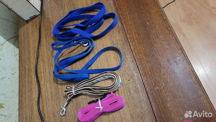 Когтерез, Поводок, шлейка