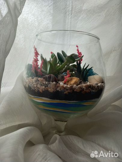 Флорариум с живыми суккулентами