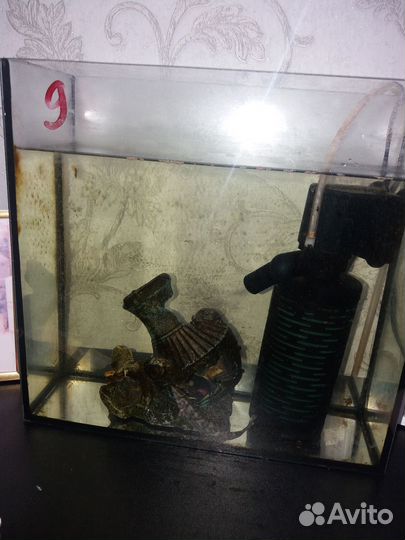 Аквариум с рыбкой