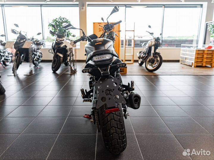 Benelli Leoncino 800