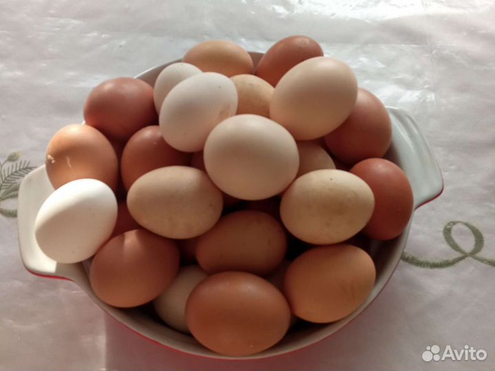 Домашние куриные яйца