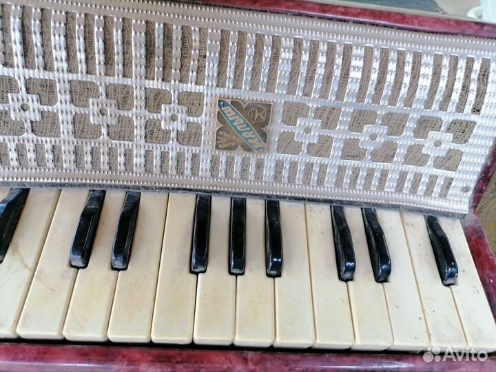 Аккордеон детский Малыш