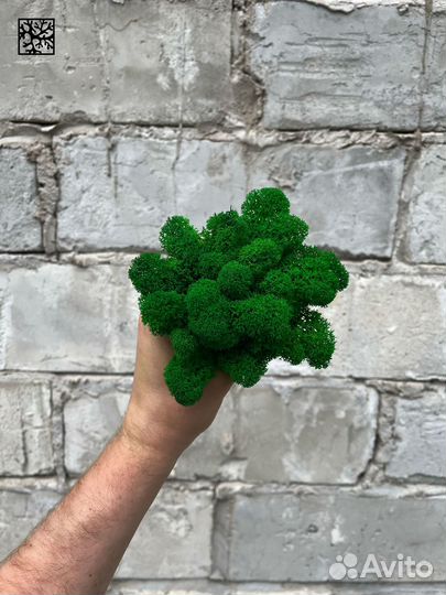 Стабилизированный мох ягель Зелёное Яблоко