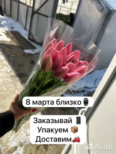 Тюльпаны к 8 марта букеты розница